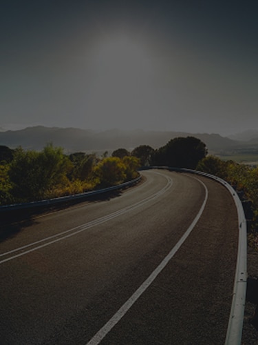 A hilly treelined urban street