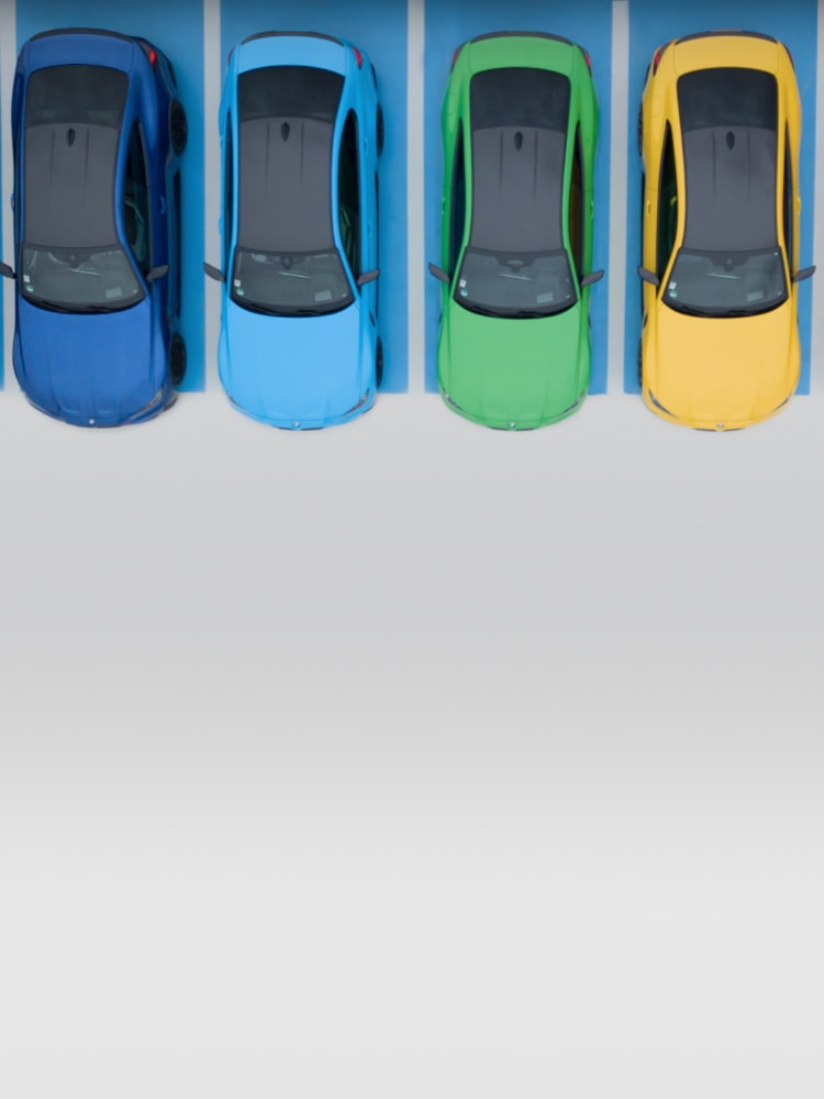 Lineup of BMWs in bright Uni paint finishes